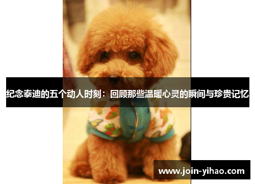 纪念泰迪的五个动人时刻:回顾那些温暖心灵的瞬间与珍贵记忆 纪念泰迪的五个动人时刻:回顾那些温暖心灵的瞬间与珍贵记忆